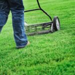 Enhancing Your Lawn: When and How to Aerate