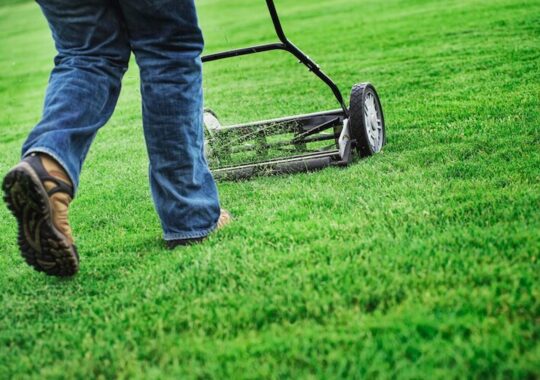 Enhancing Your Lawn: When and How to Aerate