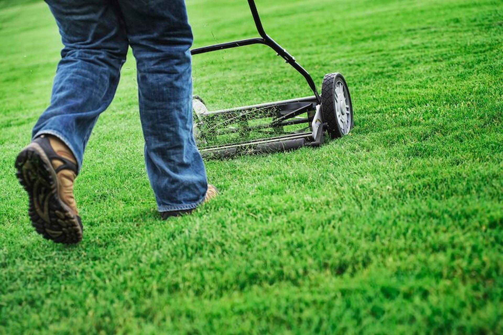 Enhancing Your Lawn: When and How to Aerate