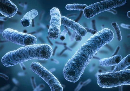 Different Type Of Strategies For Legionella Control